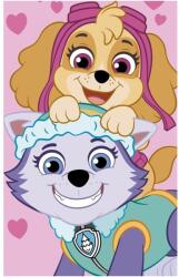 Jerry Fabrics Gyerek törölköző Mancs őrjárat (040134-PAWPATPINA)