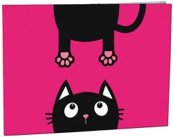 Stil Crazy Kitten betűrendező (CDC0503)