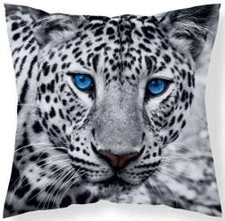 Detexpol Párnahuzat Leopárd fekete-fehér micro (DL-447058)