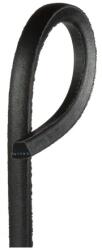 Global Tech Northpower AV 17X1173LI- Curea de transmisie trapezoidală (V-Belt) (AV 17X1173LI)