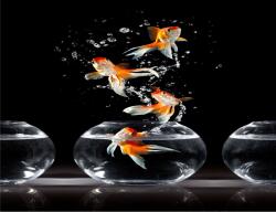  Öntapadó és mosható fali tapéta Összetétel 35, 250 x 150 cm