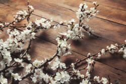  Öntapadó és mosható fali tapéta Flori90, 250 x 150 cm