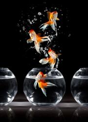  Öntapadó és mosható fali tapéta Összetétel 35, 150 x 205 cm