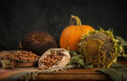  Öntapadó és mosható falfestmény Rusztikus elrendezés, 400 x 250 cm