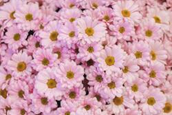  Öntapadó és mosható falfestmény Flori89, 250 x 200 cm