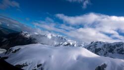  Natura85 öntapadó és mosható fali tapéta, 300 x 200 cm