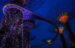  Öntapadó és mosható falfestmény Singapore Park 1, 250 x 200 cm