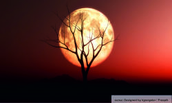  Öntapadó és mosható falfestmény Red Moon, 250 x 200 cm