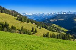  Öntapadó és mosható fali tapéta Natura135, 300 x 200 cm