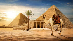  Öntapadó és mosható falfestmény Piramide 4, 250 x 200 cm
