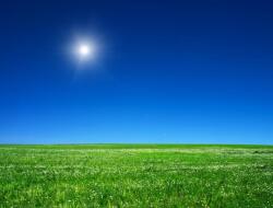  Öntapadó és mosható fali tapéta Natura102, 200 x 150 cm