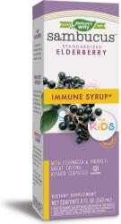 Nature's Way Sambucus Immune Syrup for Kids, 240 ml, Nature's Way
