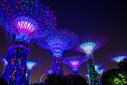  Öntapadó és mosható falfestmény Singapore Park 3, 400 x 250 cm