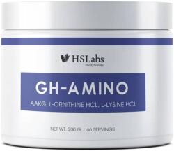 HS Labs GH Amino, 200 g, HS Labs