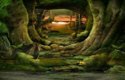  Öntapadó és mosható falfestmény Alagút az erdőn, 400 x 250 cm