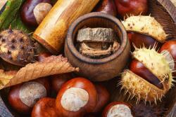  Öntapadó és lemosható fali tapéta Összetétel 23, 350 x 200 cm