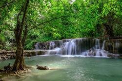  Öntapadó és mosható fali tapéta Cascada44 Vízesések a zöld erdőben, 350 x 200 cm