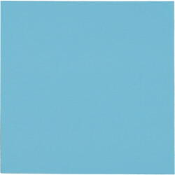 Thermal Grizzly Mouse pad Thermal Grizzly Minus Pad Pro, 100x100x2.0 mm (TG-MP-P-100-100-20) Mouse pad