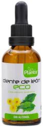 Artesania Agricola Plantis Tinctură de păpădie organică, 50 ml, Artesania Agricola