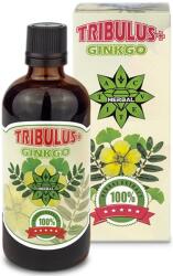 Cvetita Herbal Tribulus + Ginkgo, 100 ml, Cvetita Herbal