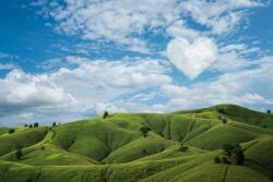  Öntapadó és mosható fali tapéta Natura67, 250 x 150 cm