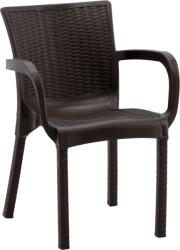 GardenLine KERTI SZÉK RATÁN 60 x 60 x 82 CM BARNA *6420 (CH-CT014/BR)