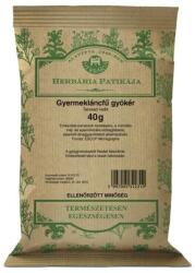  Gyermekláncfűgyökér HERBÁRIA - 40g ( Kiszerelés: 40g )