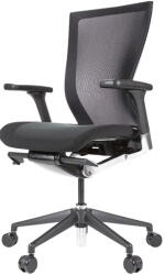 ALFA Ergonomikus irodai szék SIDIZ ALsel