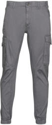 JACK & JONES Pantaloni Cargo Bărbați JJIPAUL Jack & Jones Gri US 33 / 34