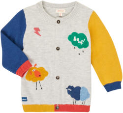 Catimini Jerseuri și Cardigane Băieți CR18020-20 Catimini Multicolor 3 luni