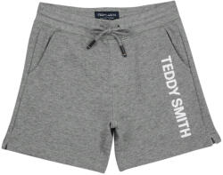 Teddy Smith Pantaloni scurti și Bermuda Băieți S-MICKAEL JR Teddy Smith Gri 10 ani