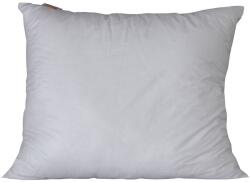 Poldaun Antiallergén párna 70 x 90 Standard egész évben