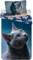 Jerry Fabrics Dark Cat gyerek ágynemű (01202-DARKCATDARA)