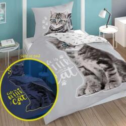 Detexpol Világító ágyneműhuzat kiscica Grey (DL-030682)