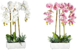 AdTrend Set 2 Orhidee artificiale in ghiveci 25 x 10 x 62 cm (74899)