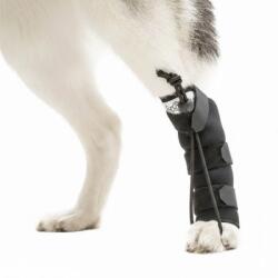  Walkinpets - corector de pași pentru picioarele din spate L