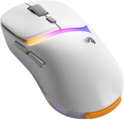 Glorious PC Gaming Race Model D3 Wireless White (GLO-D3-WL-WHT) Mouse