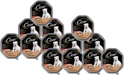 Cesar Junior tavă 14x150 g - hrană umedă completă pentru căței, cu curcan și vițel, în pateu