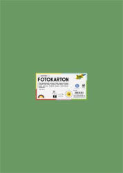 FOLIA Dekorkarton, 2 oldalas, 50x70 cm, 300 g, 10 lap, FOLIA, mohazöld (FL6153) (6153)