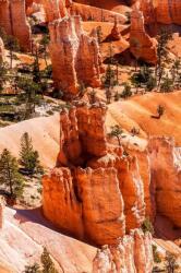  Blueback MAT " Természet 76" fotótapéta, 200 x 255 cm