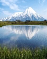  MÉDIA fali tapéta, öntapadó és mosható, természet 75, 135 x 225 cm