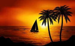  Tapéta Pálmafák10, 350 x 200 cm