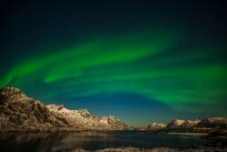  MÉDIA Natura30 fali fotótapéta, öntapadó és mosható, 220 x 135 cm