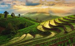  Blueback MAT Natura87 tapéta, 250 x 200 cm