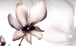 Magnolia virág tapéta, 350 x 200 cm