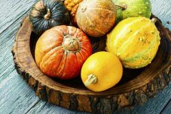  MÉDIA Compozitie27 Öntapadó és mosható tapéta, 220 x 135 cm