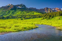  MÉDIA Natura175 Rau fenyő és hegyek öntapadós tapéta, 270 x 200 cm