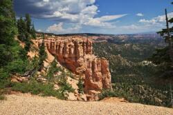  Tapéta Natura120, 300 x 250 cm