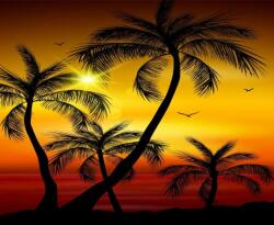  MÉDIA Palmieri8 öntapadós tapéta, 270 x 200 cm