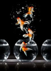  MÉDIA Compozitie35 fali fotótapéta, öntapadó és mosható, 135 x 225 cm